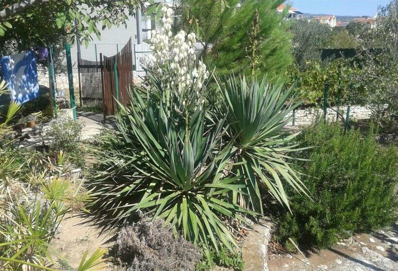 Apartments Ziva   By The Beach;