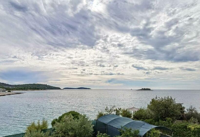 Apartments Ziva   By The Beach;