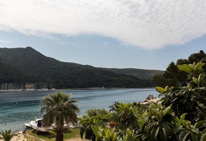 膳宿费 Apartments Bujak