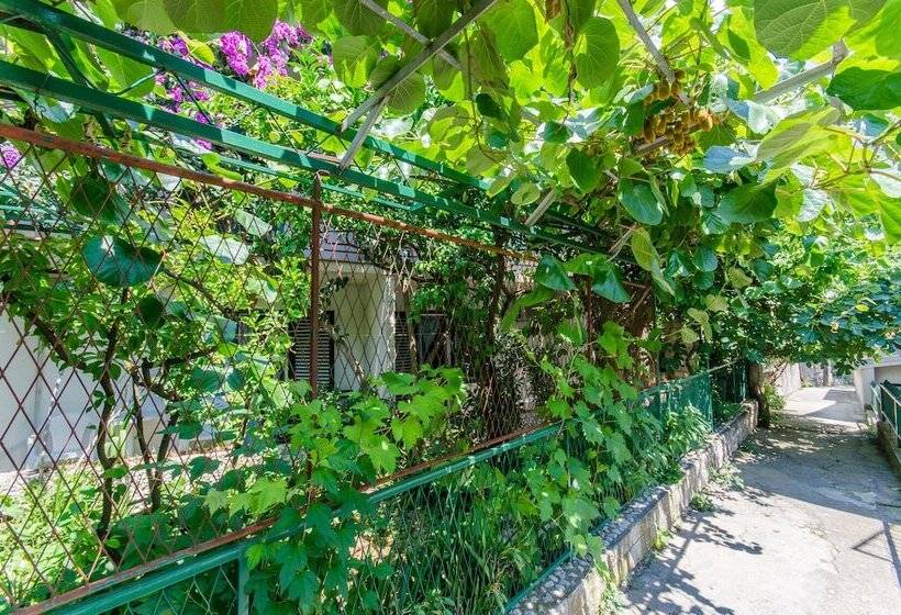 Apartment And Rooms Ivan