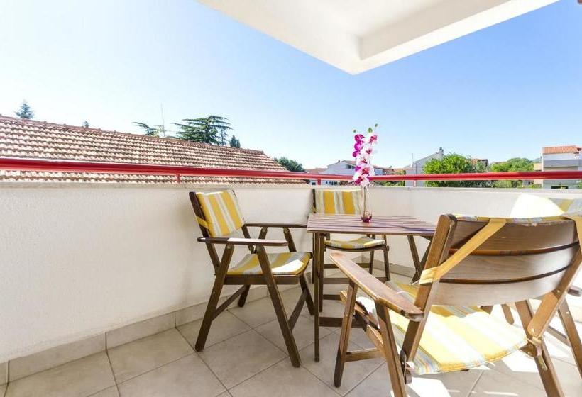 Apartments Little Spring