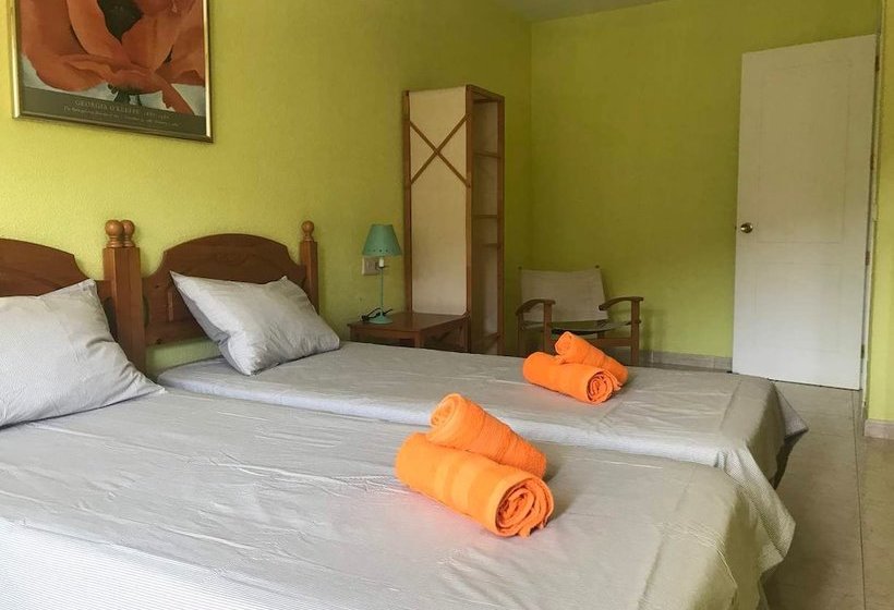 Atico Over The Sunrise