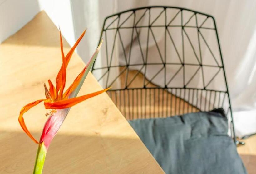 Chandakos 8 Design Apts