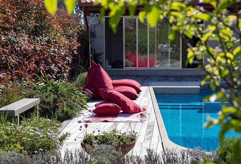 Countryside Villa Near Porto