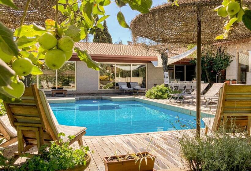 Countryside Villa Near Porto