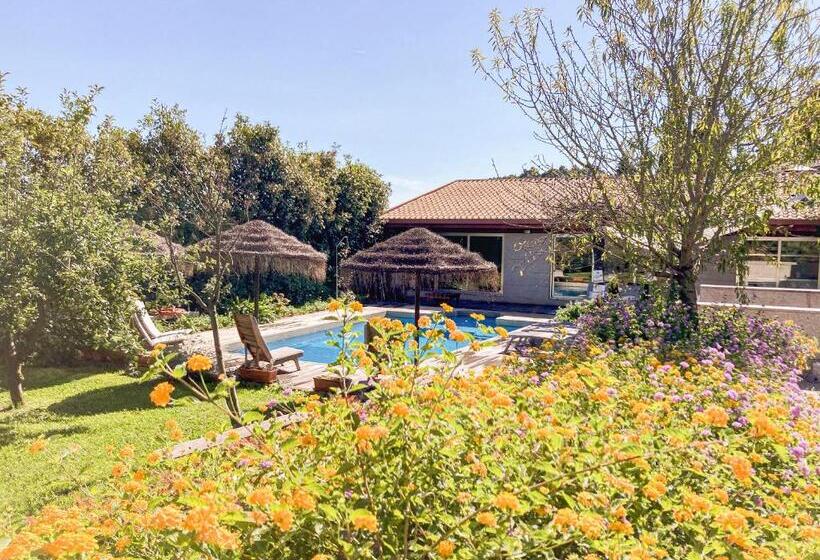 Countryside Villa Near Porto