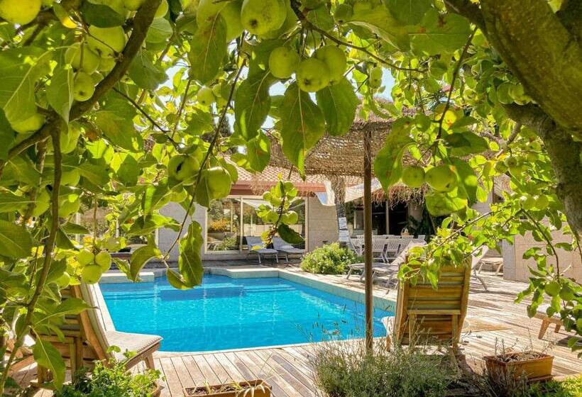 Countryside Villa Near Porto