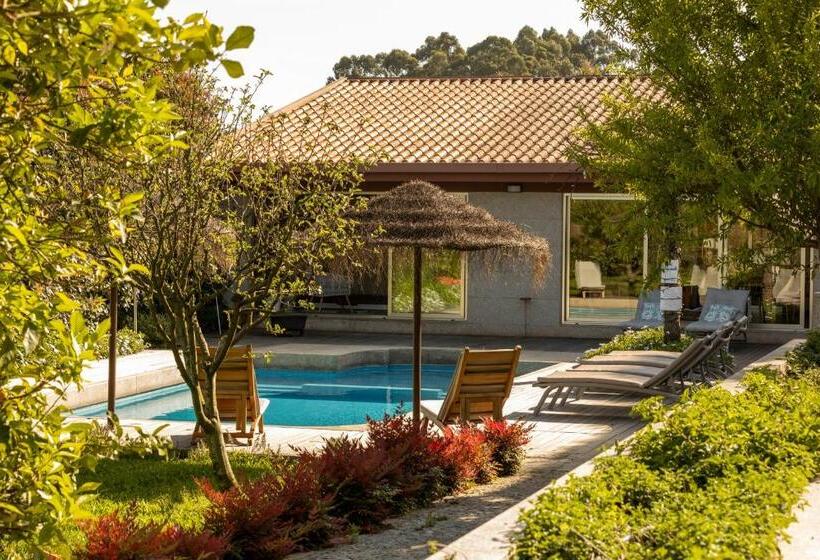 Countryside Villa Near Porto