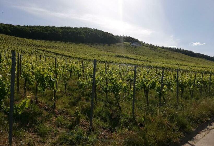 Ferienwohnungen   Moselblick