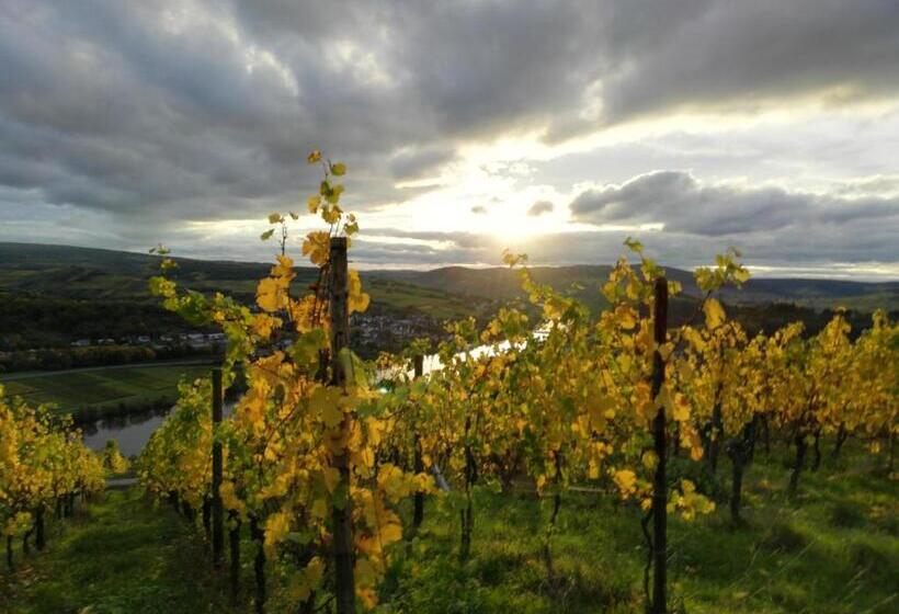 Ferienwohnungen Zum Niederberg