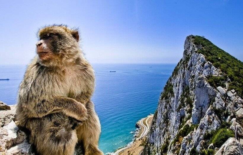 New Skandinavian Penthouse 5min To Beach