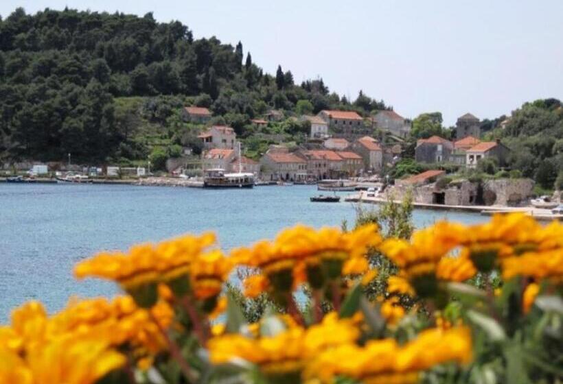 פנסיון Guest House Simunovic