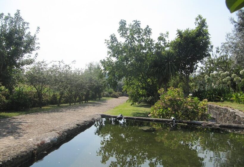 Quinta Eido Oliveira