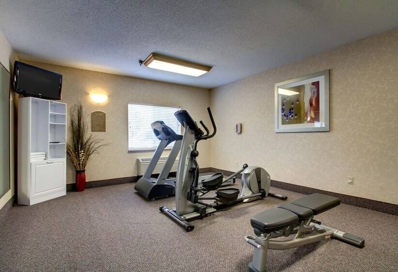 فندق Baymont By Wyndham Galesburg