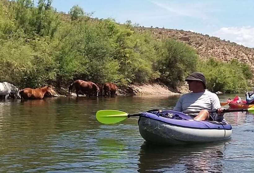 ホテル Best Western Apache Junction Inn