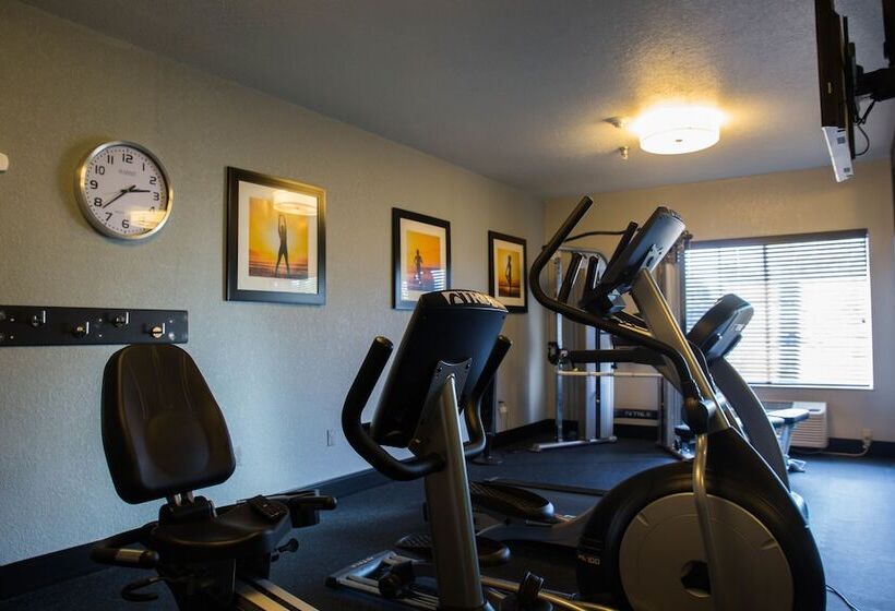 فندق Best Western Celina