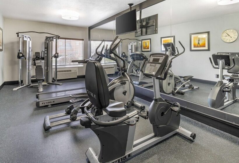 فندق Best Western Celina