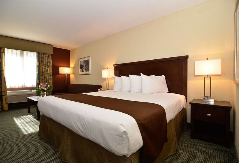 فندق Best Western Cottage Grove Inn