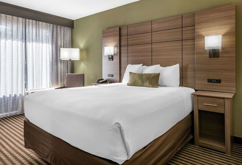 فندق Best Western Downtown Stuart