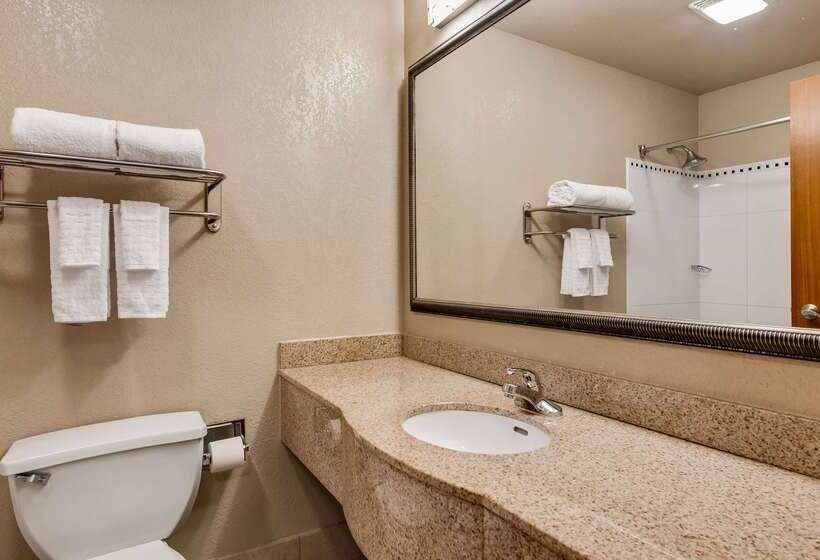 فندق Best Western Gwinnett Center