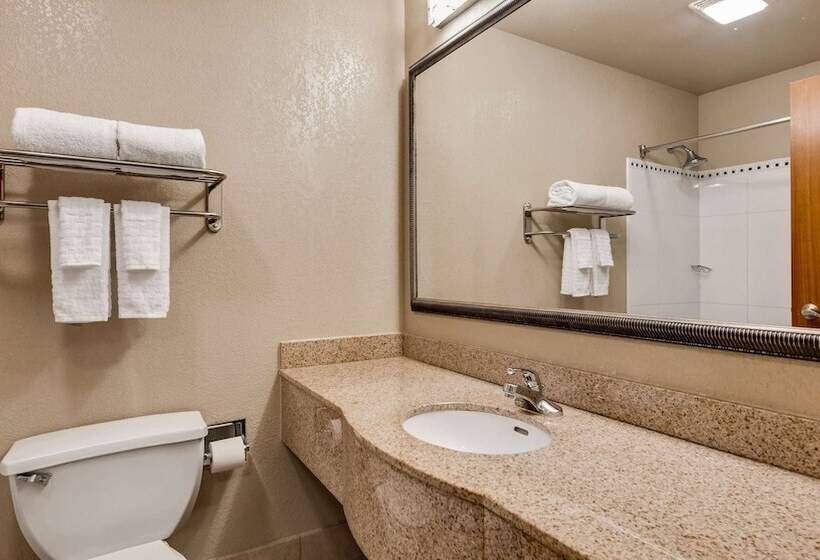 فندق Best Western Gwinnett Center