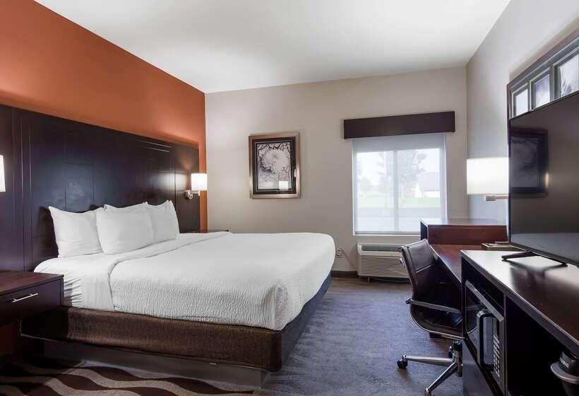 Best Western Plus Lee S Summit Hotel & Suites