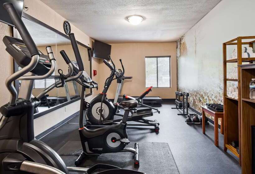 Best Western Plus Lee S Summit Hotel & Suites