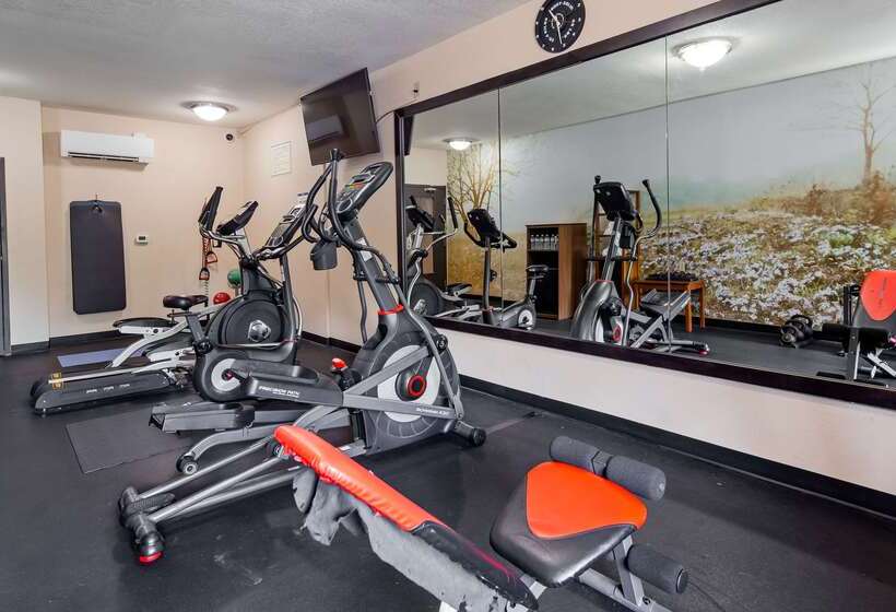 Best Western Plus Lee S Summit Hotel & Suites