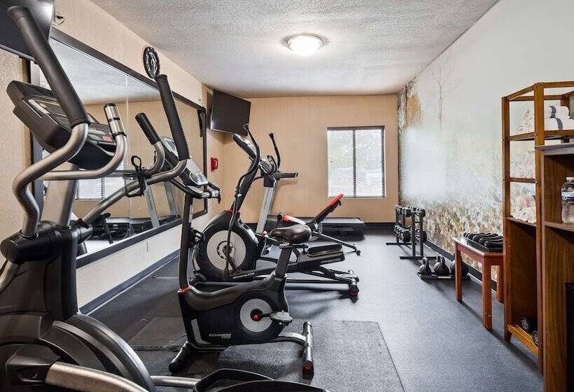 Best Western Plus Lee S Summit Hotel & Suites