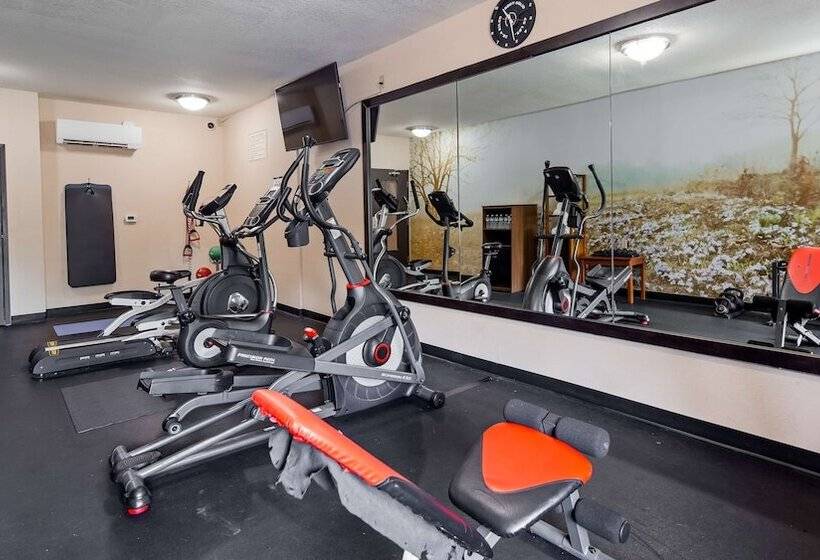 Best Western Plus Lee S Summit Hotel & Suites