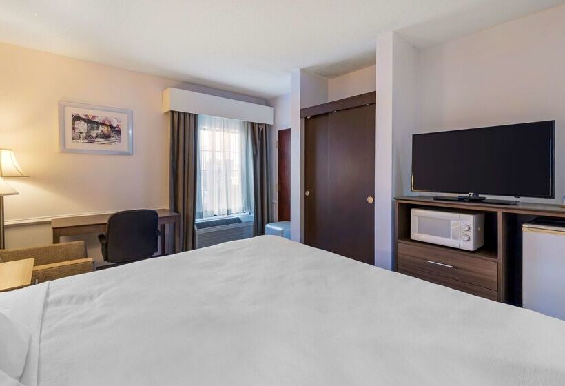 בית מלון כפרי Best Western Plus South Hill Inn