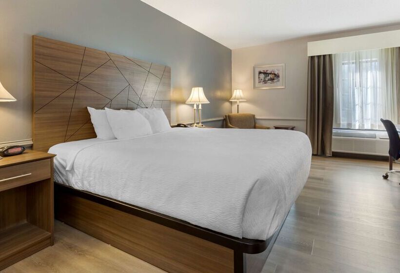 בית מלון כפרי Best Western Plus South Hill Inn