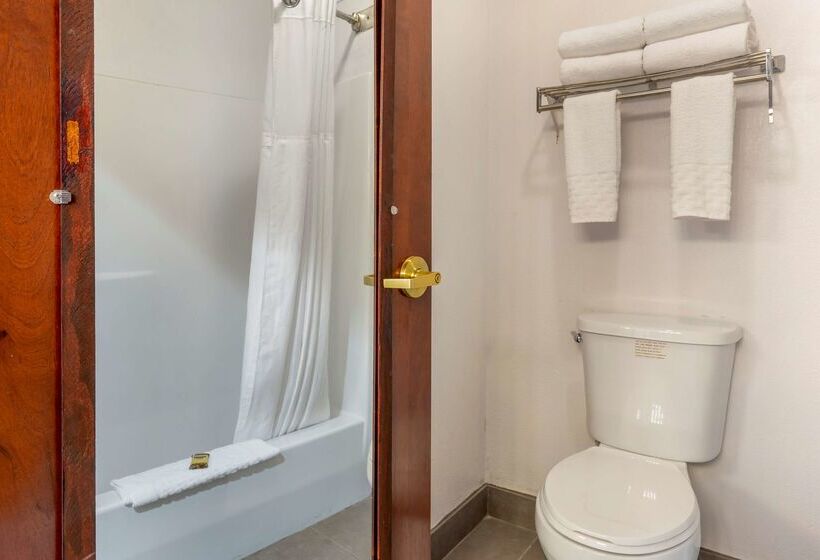 فندق Best Western Plus South Hill Inn