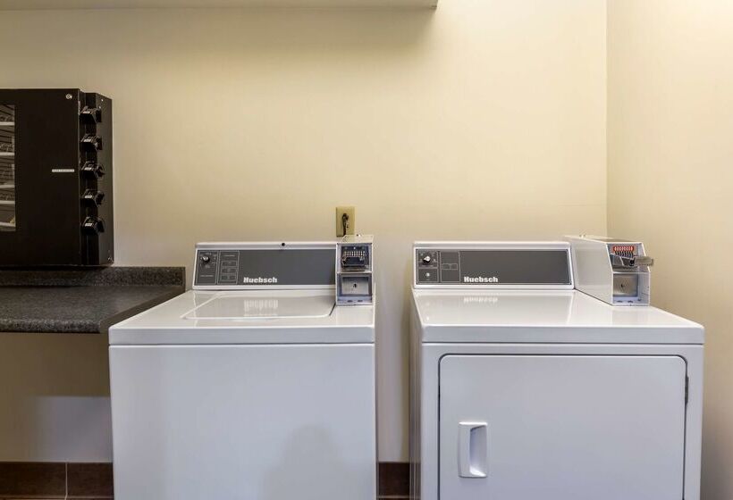 فندق Best Western Plus South Hill Inn