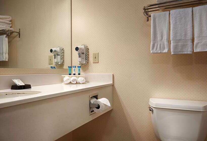 فندق Best Western Plus Twin View Inn & Suites