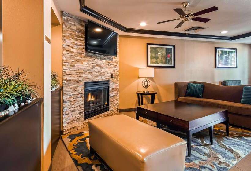 فندق Best Western Plus Twin View Inn & Suites