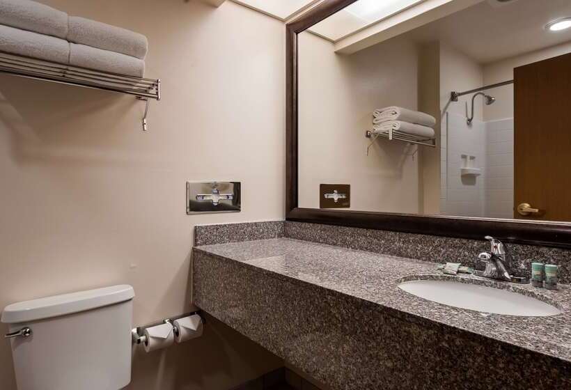 Best Western Socorro Hotel & Suites