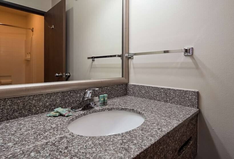 Best Western Socorro Hotel & Suites