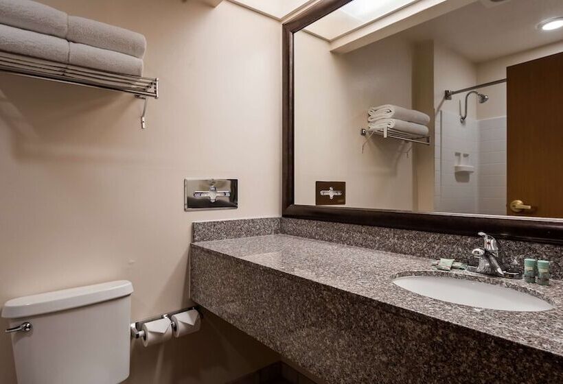 Best Western Socorro Hotel & Suites