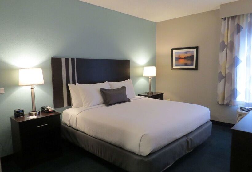 فندق Best Western St. Clairsville Inn & Suites