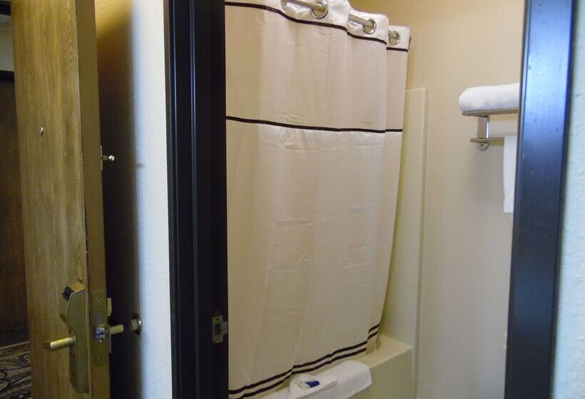 فندق Best Western Teal Lake Inn