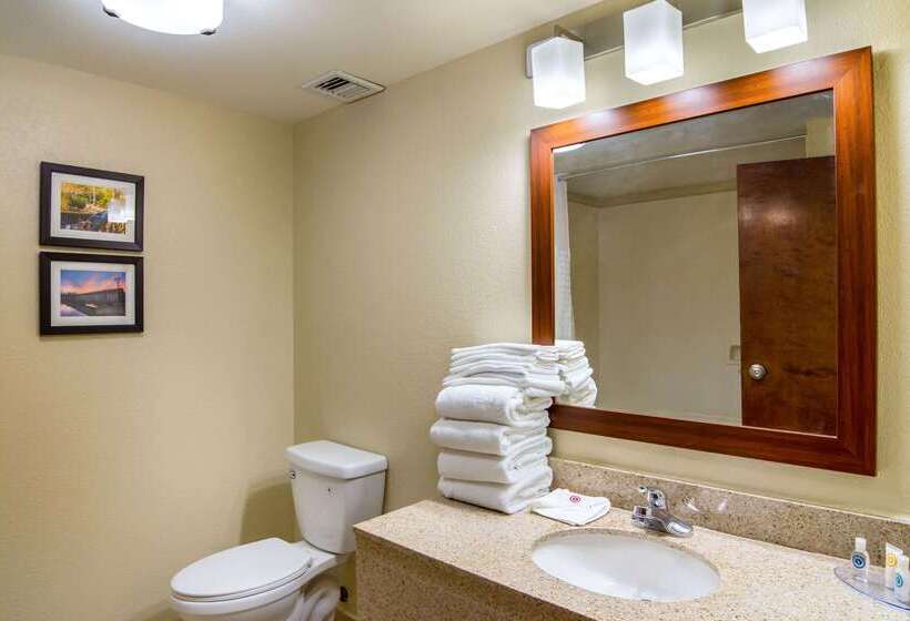 בית מלון כפרי Comfort Inn Acworth  Kennesaw Northwest