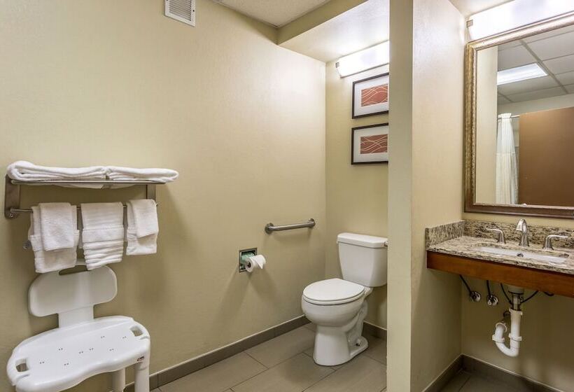 فندق Comfort Inn Brownsville I40