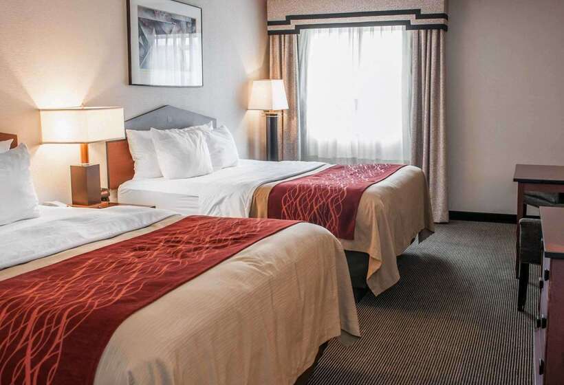 فندق Comfort Inn Indianapolis South I65