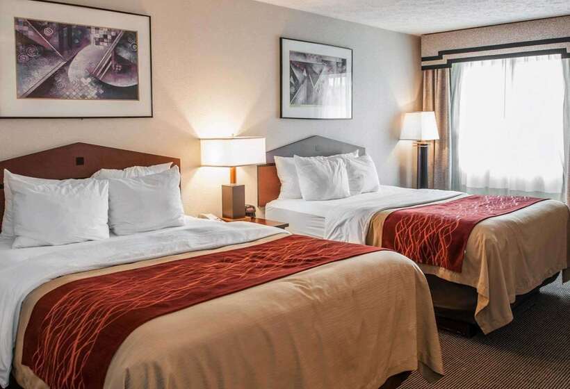 בית מלון כפרי Comfort Inn Indianapolis South I65