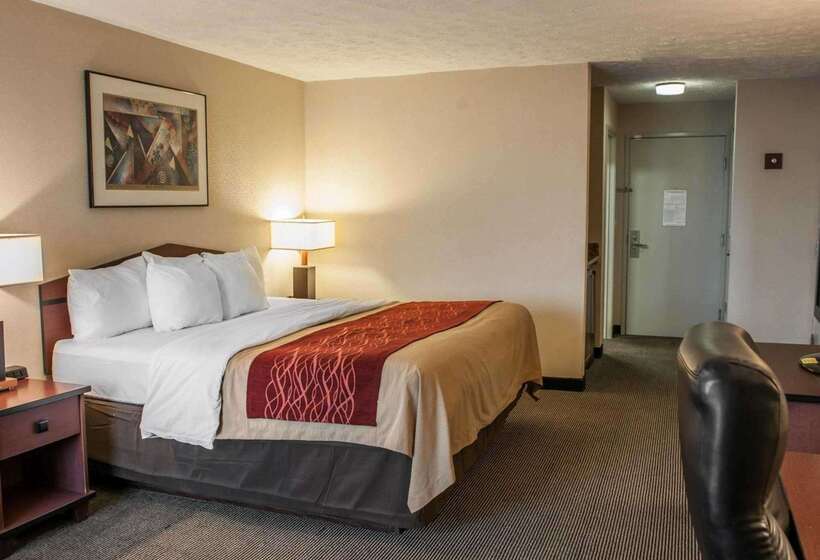 فندق Comfort Inn Indianapolis South I65