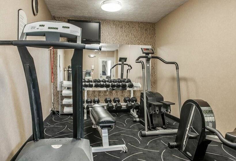 فندق Comfort Inn Indianapolis South I65