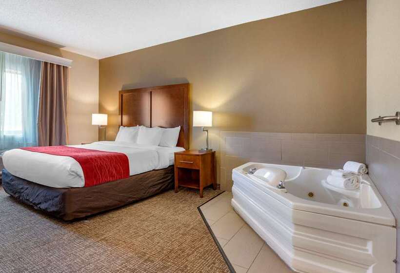 فندق Comfort Inn La Porte