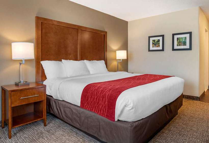 فندق Comfort Inn La Porte