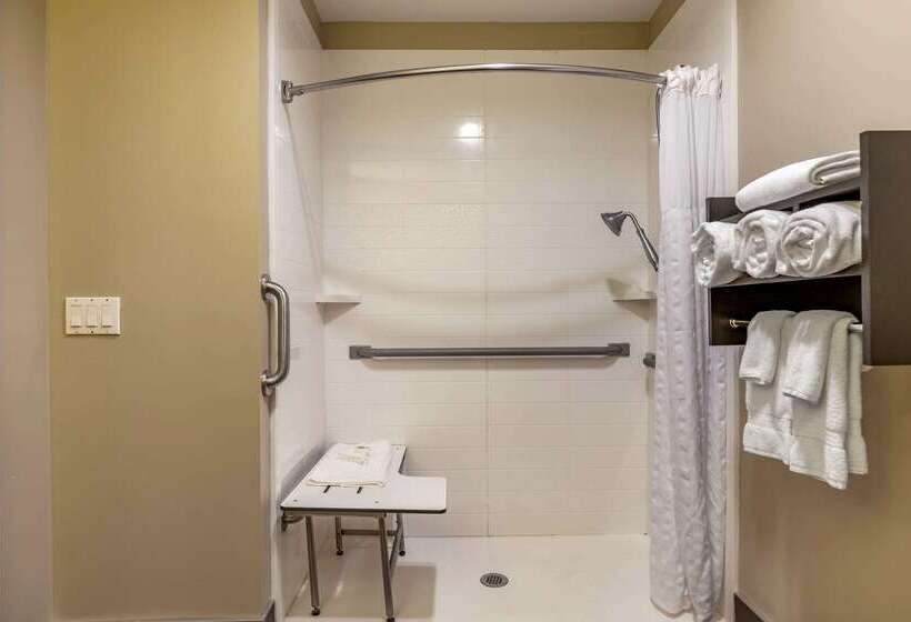 Отель Comfort Inn Ludington Near Us 10